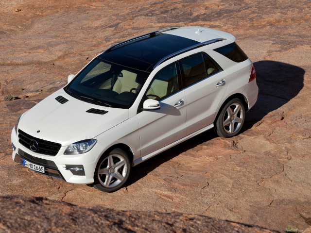 mercedes-benz m-class pic #81272