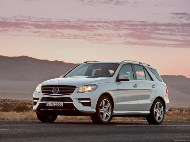 mercedes-benz m-class pic #81279