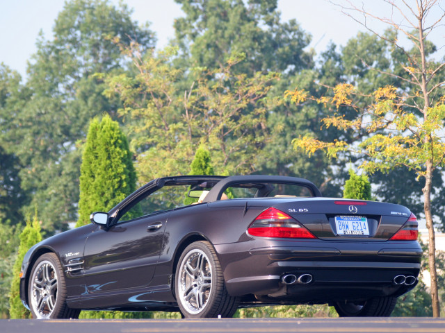 mercedes-benz sl65 amg pic #90288