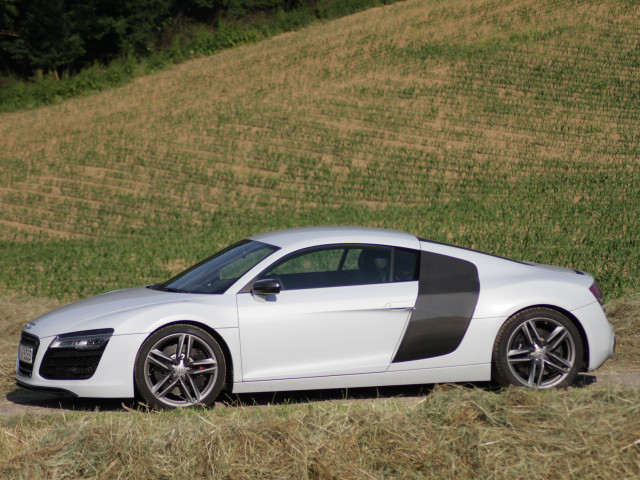 audi r8 v8 pic #127501