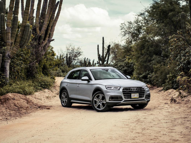 audi q5 pic #171903