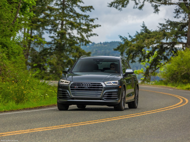 audi sq5 pic #179065