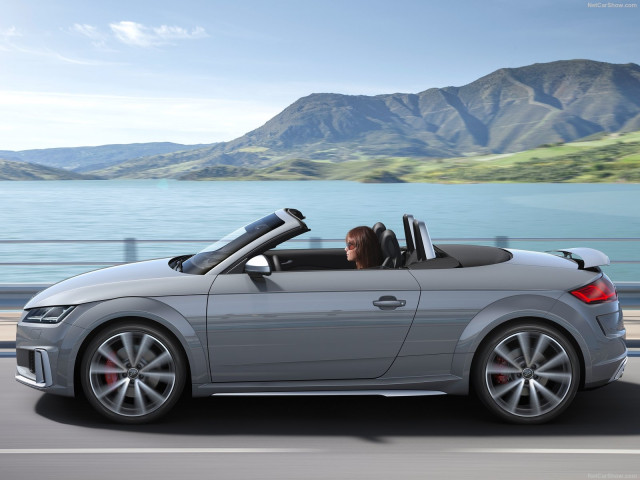 audi tts roadster pic #192913