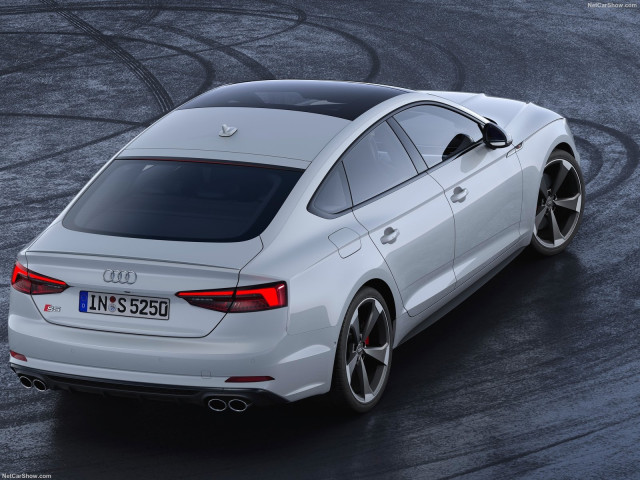 audi s5 sportback pic #194599