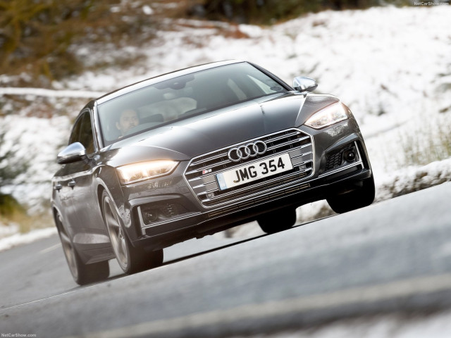 audi s5 pic #194801