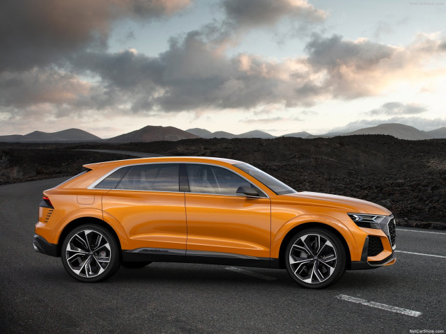 audi q8 pic #194841