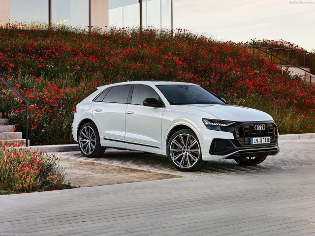 audi q8 pic #198211