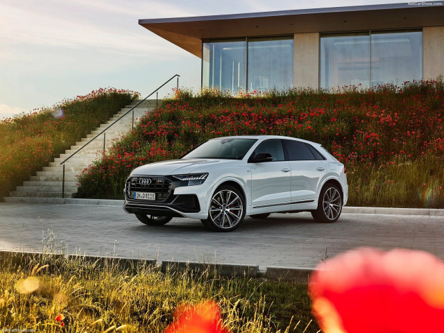 audi q8 pic #198229