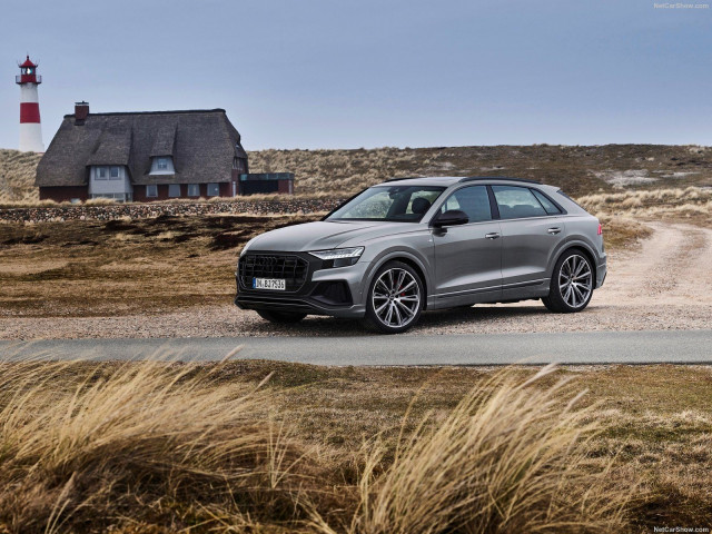 audi q8 pic #199550