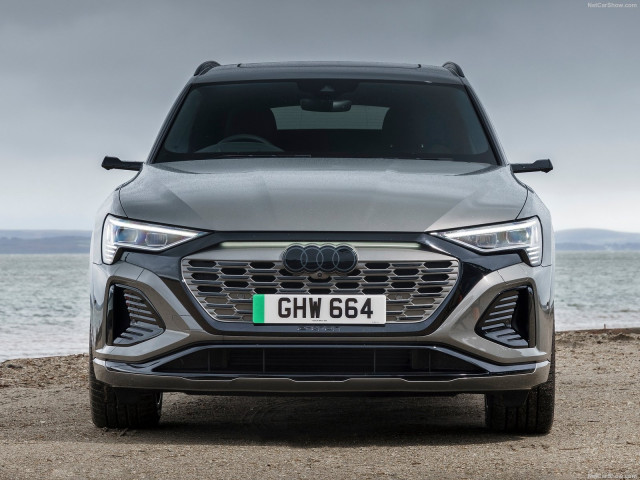 audi q8 pic #203429