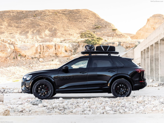 audi q8 e-tron pic #204606