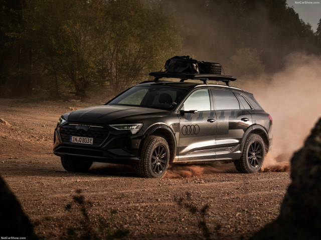 audi q8 e-tron pic #204613