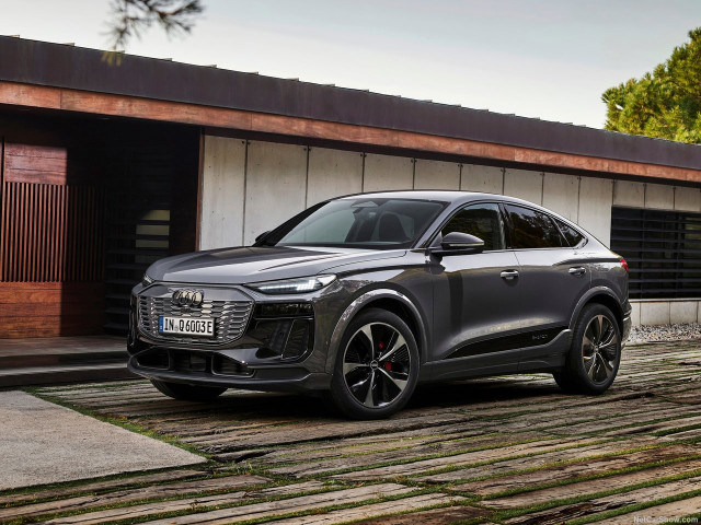 audi q6 e-tron pic #205772