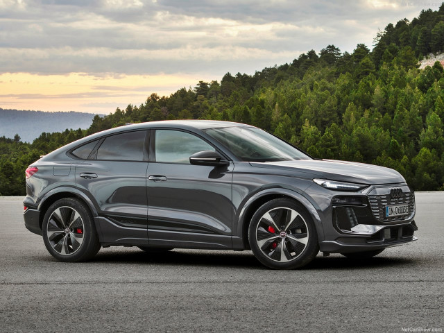 audi q6 e-tron pic #205775