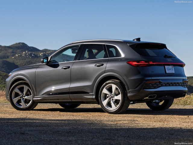 audi q5 pic #206731