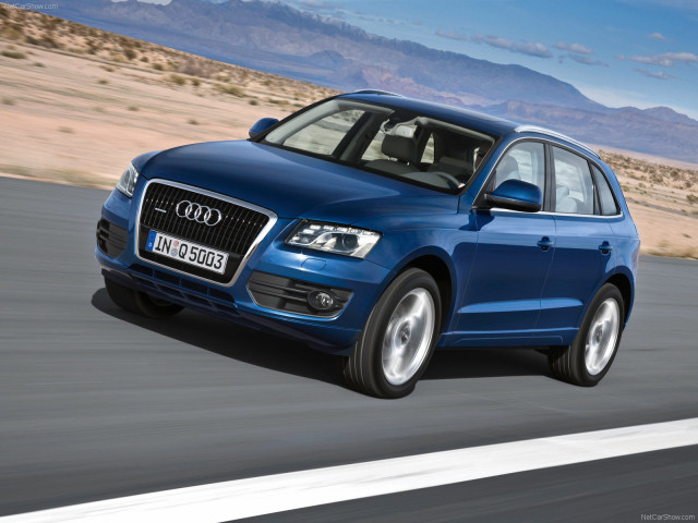 audi q5 pic #54228