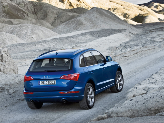 audi q5 pic #54232