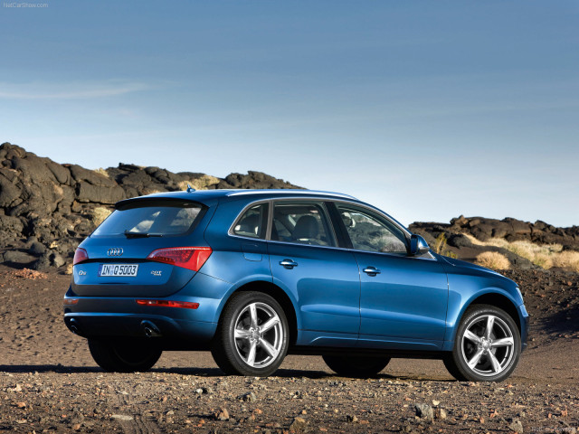 audi q5 pic #54233