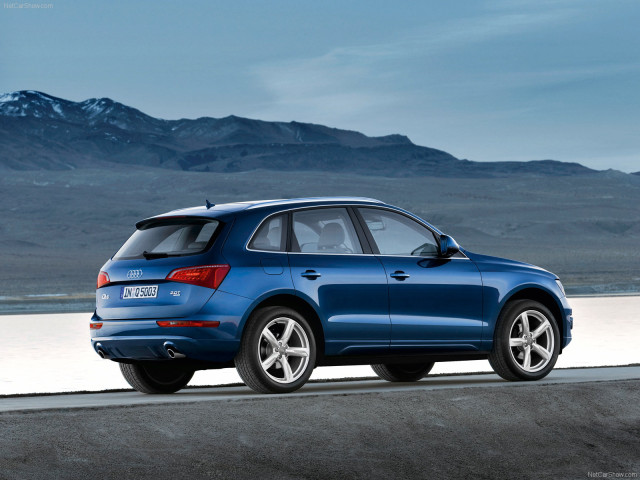 audi q5 pic #54234