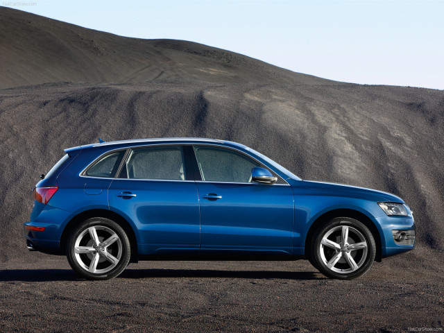 audi q5 pic #54235