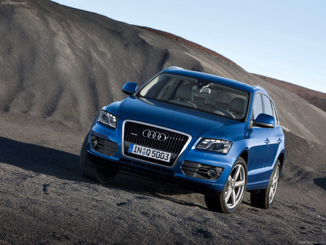 audi q5 pic #54237