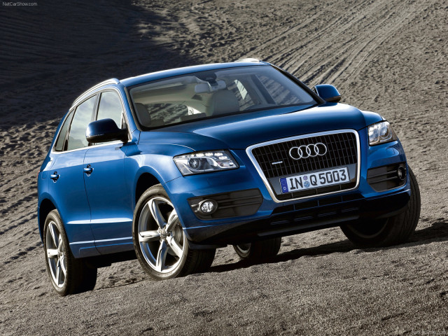 audi q5 pic #54238