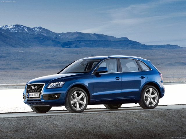 audi q5 pic #54239