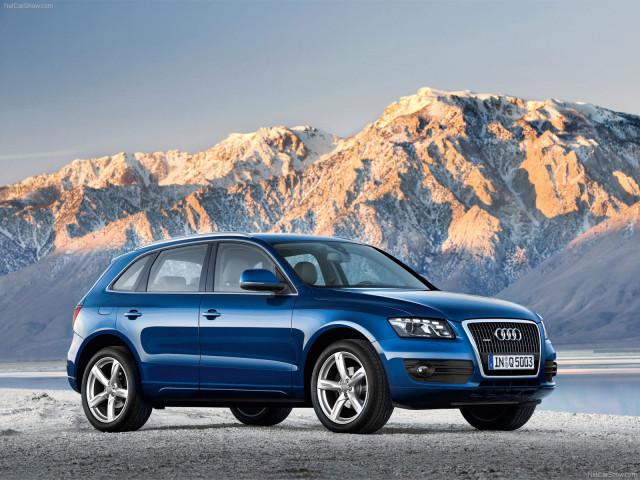 audi q5 pic #54240