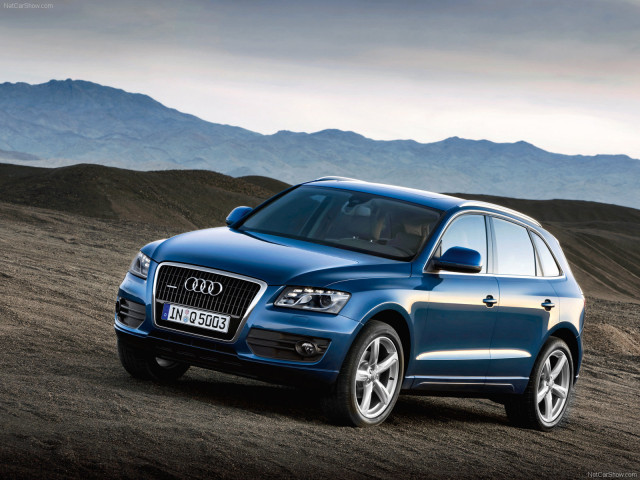 audi q5 pic #54242