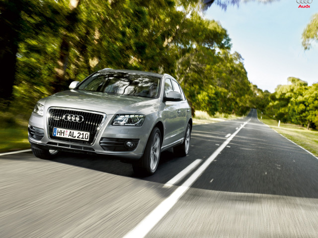 audi q5 pic #54770