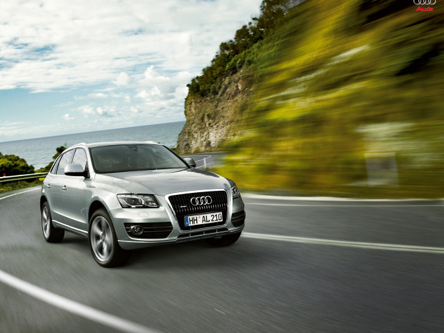 audi q5 pic #54776