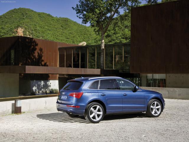 audi q5 pic #56314