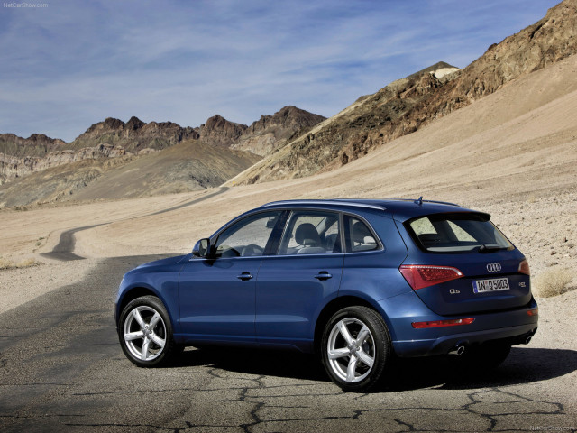 audi q5 pic #56323