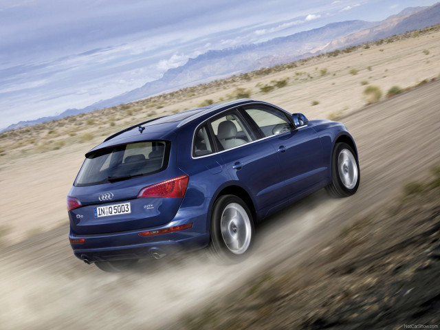 audi q5 pic #56325