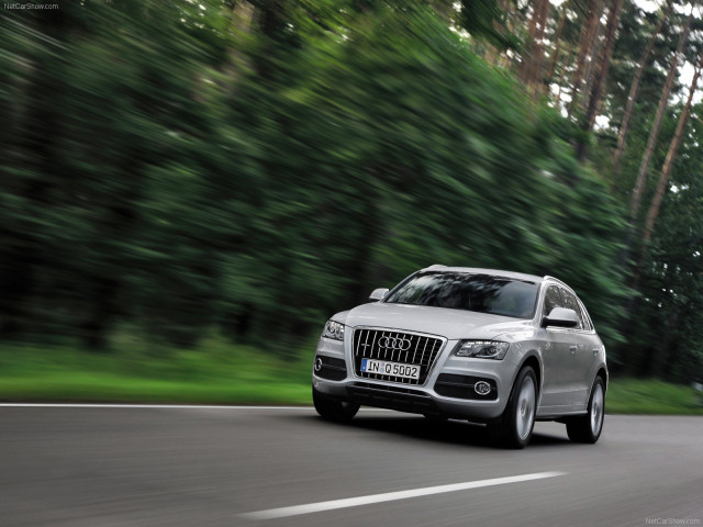 audi q5 pic #56332