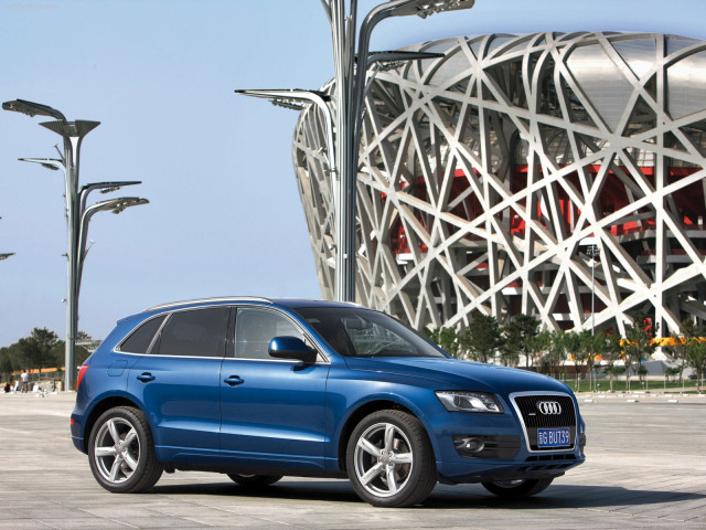 audi q5 pic #56336