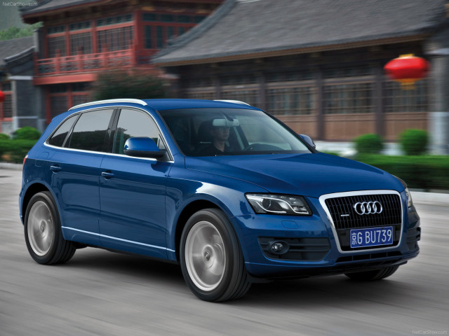 audi q5 pic #56337