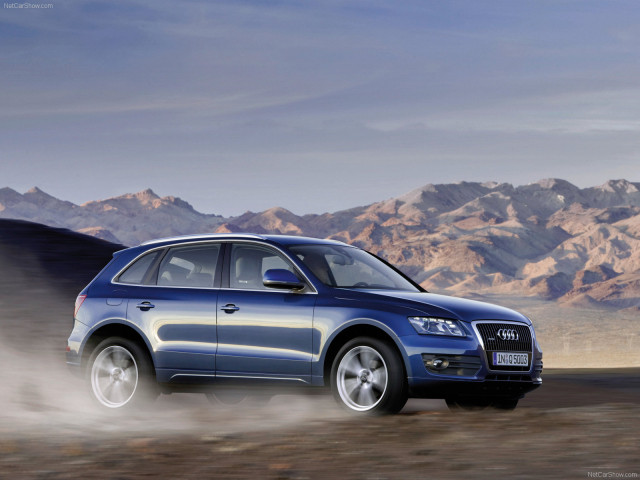 audi q5 pic #56338