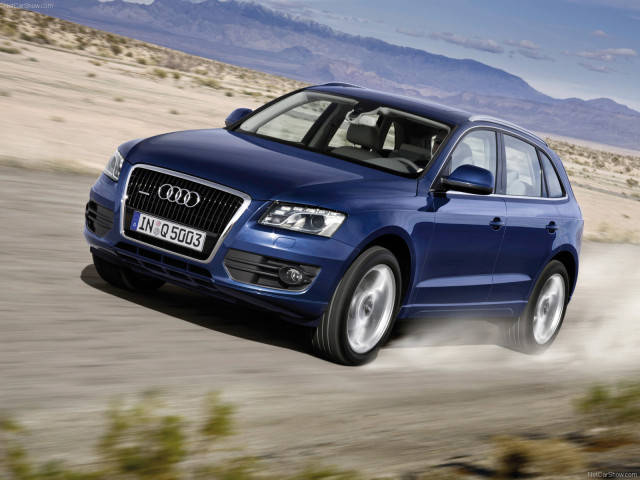 audi q5 pic #56339