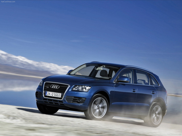 audi q5 pic #56340