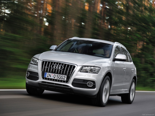 audi q5 pic #56344