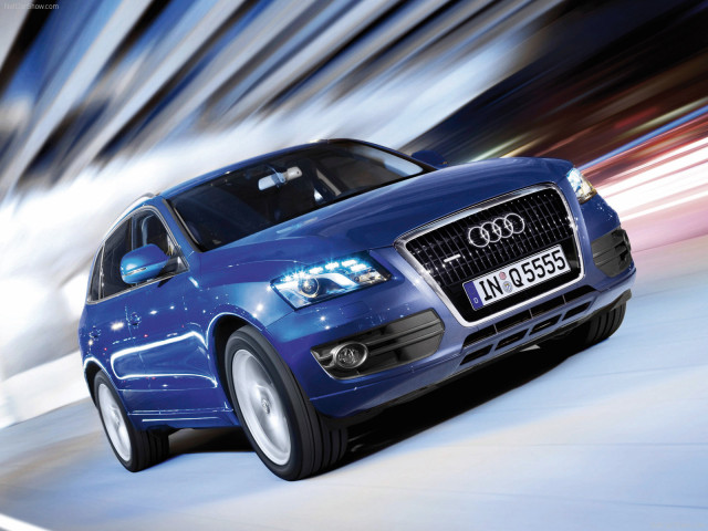 audi q5 pic #56345