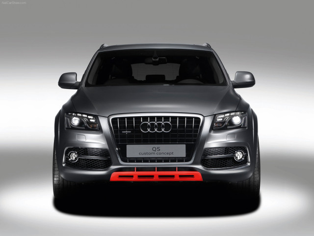 audi q5 custom concept pic #64365