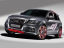 Audi Q5 Custom Concept