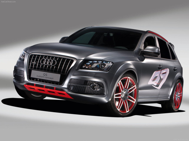 audi q5 custom concept pic #64369