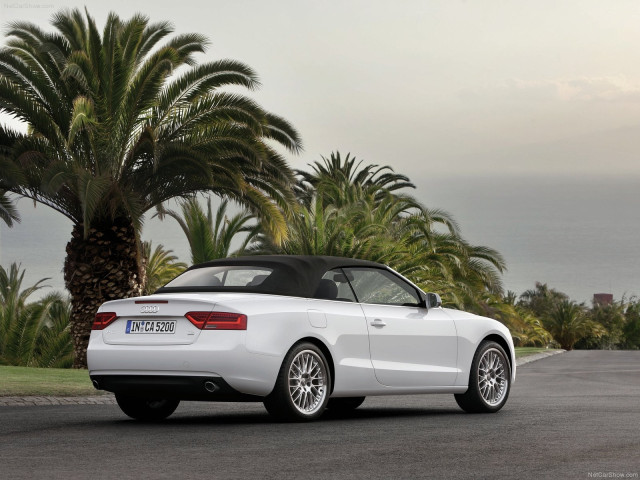 audi a5 cabriolet pic #82279