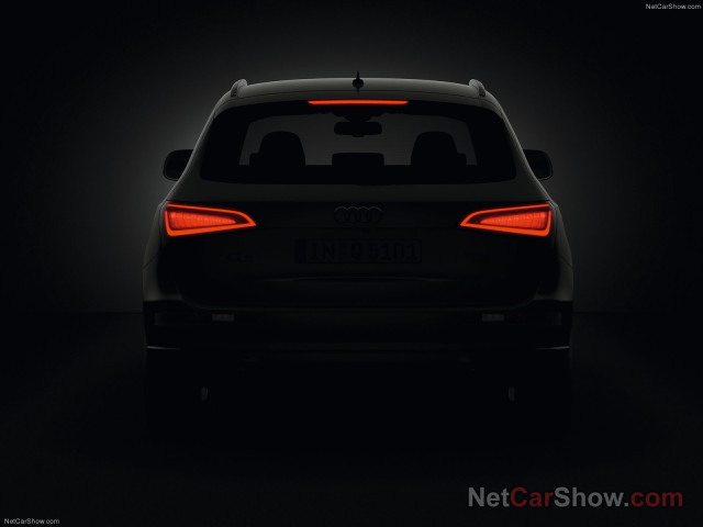 audi q5 pic #91434