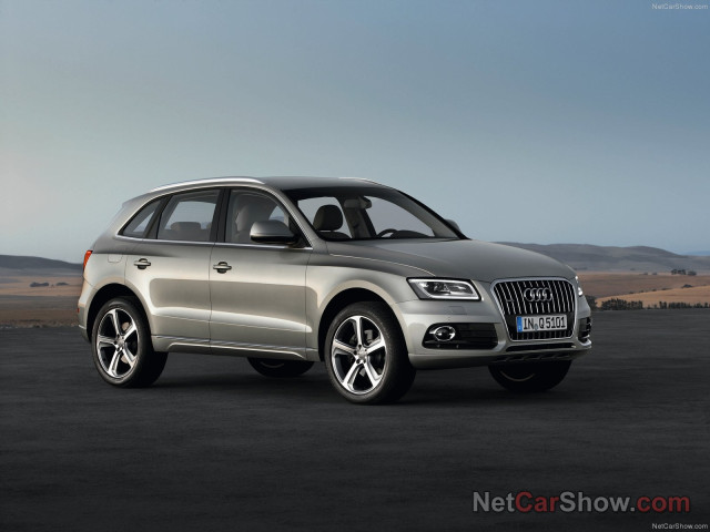 audi q5 pic #91436