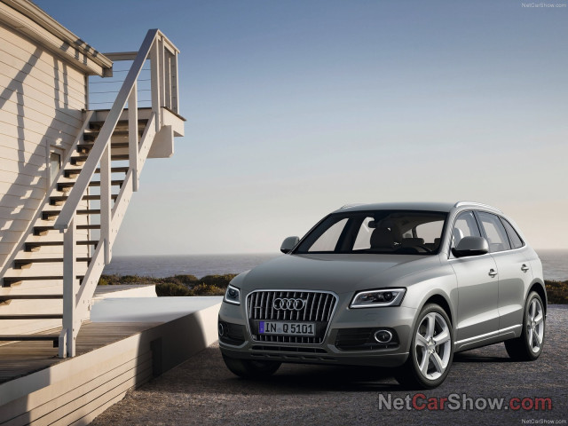 audi q5 pic #91437