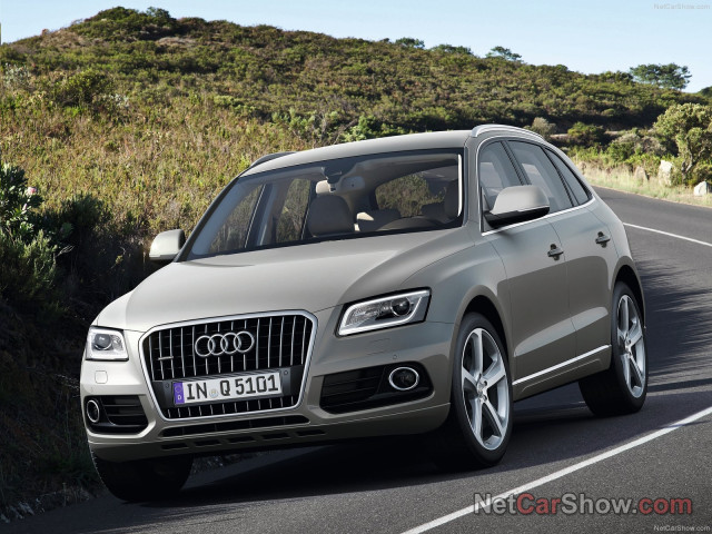 audi q5 pic #91438